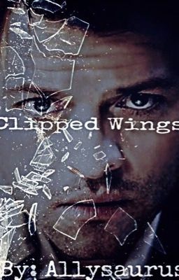 Clipped Wings- Supernatural cover