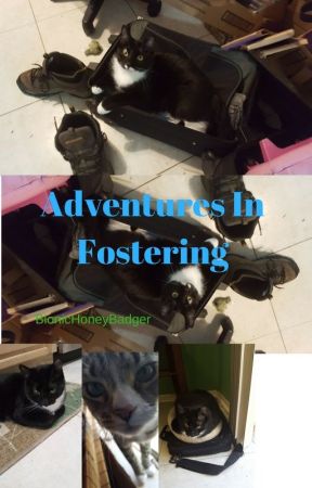 Adventures In Fostering by BionicHoneyBadger