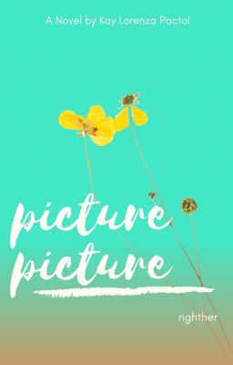 Picture Picture cover