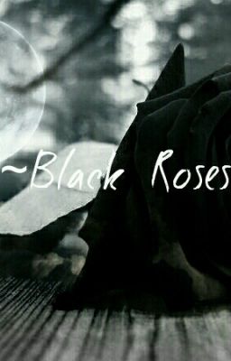 ~Black Roses~ (An MCD x Reader) DISCONTINUED cover