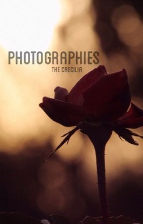 Photographies by TheCaecilia