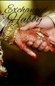 Exchanged Hubby (An Indian Arrange Marriage)  by Crazy-soul