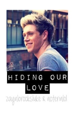 Hiding Our Love || Niall Horan cover