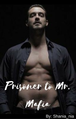 Prisoner to Mr. Mafia (Book 1 In PTMM Series) cover