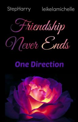 Friendship Never Ends (One Direction) cover