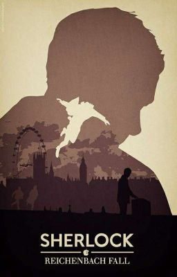 The Reichenbach Fall (Sherlock X Female!Reader) cover