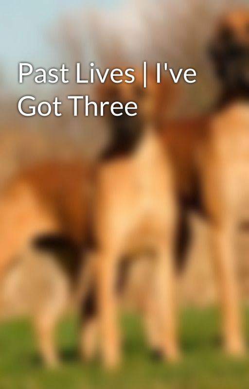 Past Lives | I've Got Three by SanDanish