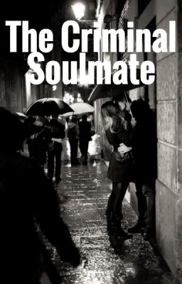 The Criminal Soulmate cover