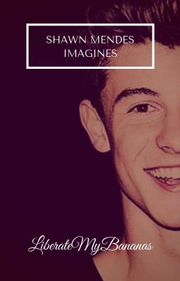 Shawn Mendes Imagines cover