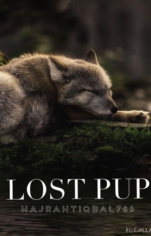 Lost Pup by Bubbahaj