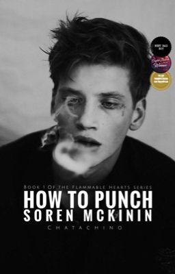 How to Punch Soren McKinin | ✓ cover