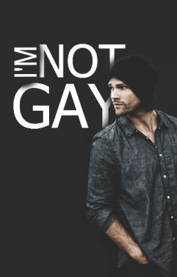 I'm Not Gay cover