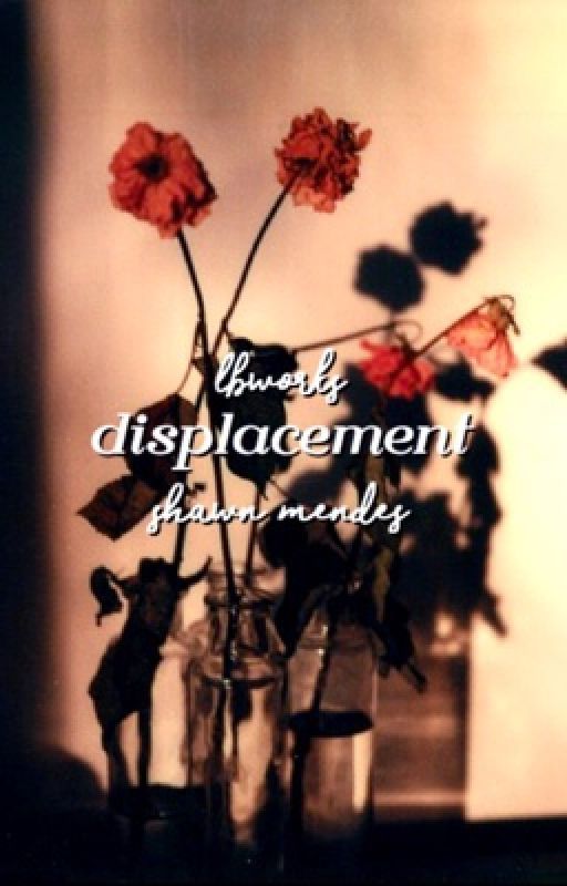 Displacement // Shawn Mendes by lbworks