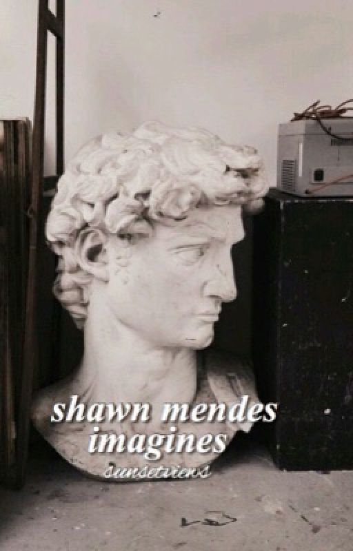 Shawn Mendes Imagines by sunsetviews