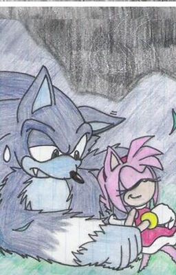 Were Sonamy cover