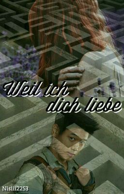 Weil ich dich liebe || Maze Runner -Minho FF || cover