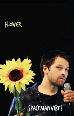 flower || destiel  cover