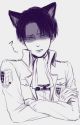 Here Kitty, Kitty (Shy!Reader x Neko!Levi) by morgancatlovey