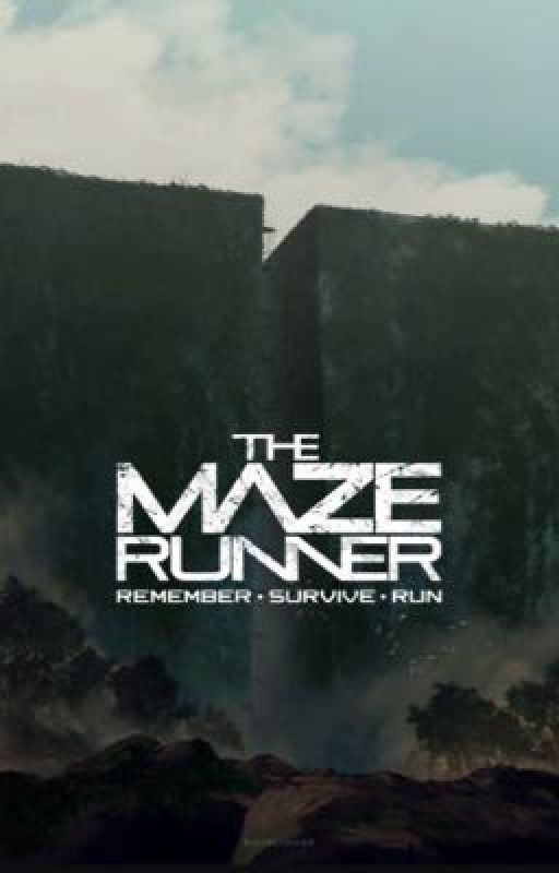 Maze Runner-Il Labirinto by fangirling7205