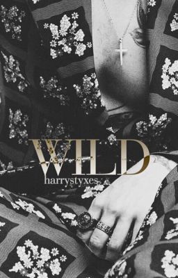 WILD // (Harry Styles) cover