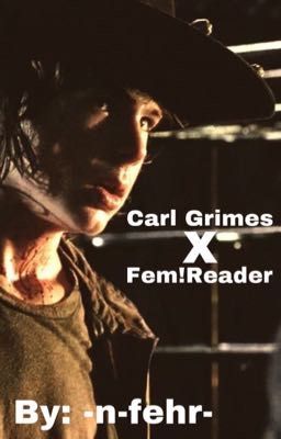 Carl Grimes x Fem Reader Book 2 cover