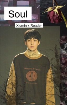 • Soul • Xiumin x Reader • cover