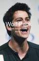 Wolf Pack// Book 2// Stiles Stilinski Fanfic by teenwolffx