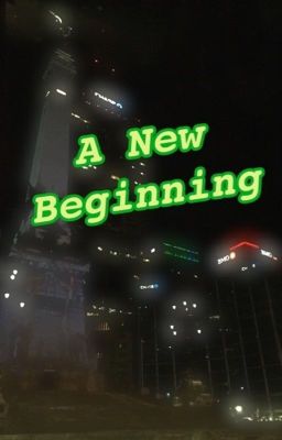 A New Beginning  cover