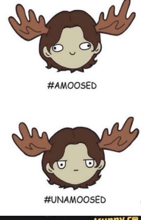 Puns| Jokes| Of Supernatural| by ICockedOnMySkittles