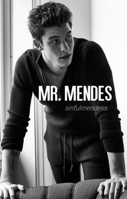 Mr. Mendes | shawn mendes cover