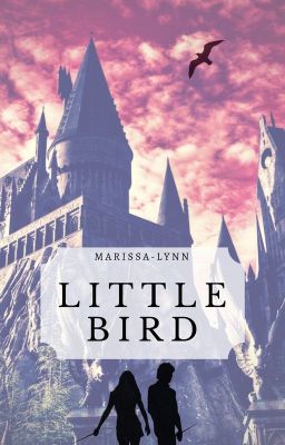 Little Bird cover