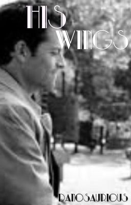 His Wings.. (Castiel X Reader) cover