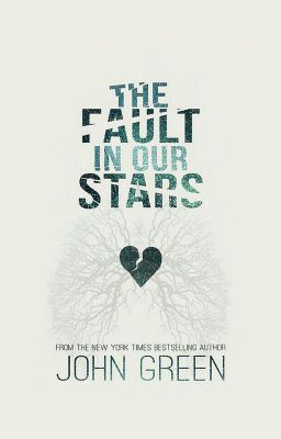 The Fault In Our Stars ⭐ cover