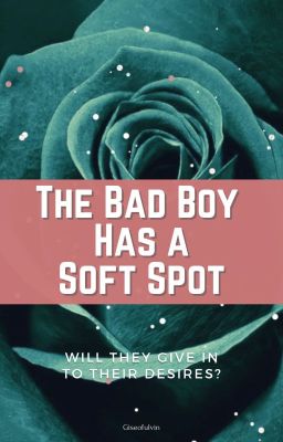 The Bad Boy Has A Soft Spot cover