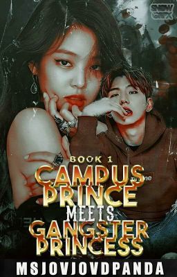 Campus Prince meets Gangster Princess (Book 1) cover