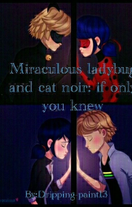 Miraculous ladybug and Cat noir:if only you knew by xXThotsuki-BakuhoeXx