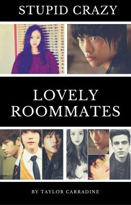 Stupid Crazy Lovely Roommates cover