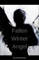 Fallen: Winter Angel by KassiBrunner