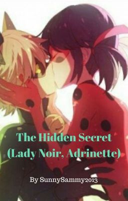 The Hidden Secret (Ladynoir, Adrinette.) cover