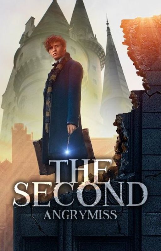 The Second (Newt Scamander CZ FF) by AngryMiss