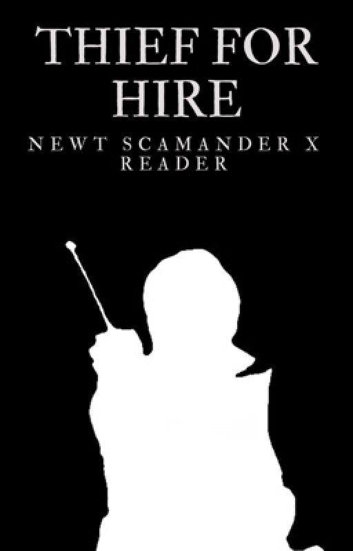 Thief For Hire || Newt Scamander x Reader by FicsByJ