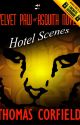 Hotel Scenes from the Velvet Paw of Asquith Novels by Tastypooh