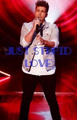 Just stupid love cover