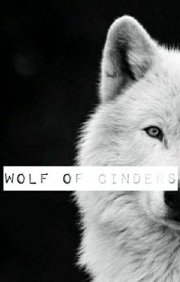 Wolf of Cinders cover