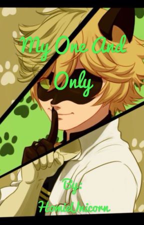 My One And Only~(Chat Noir/Adrien x Reader) Discontinued  by Err0r_606