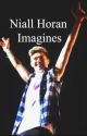 Niall Horan Imagines by MollyAnderson433