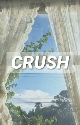 crush | bokuaka cover