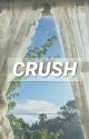 crush | bokuaka by peeaachyy