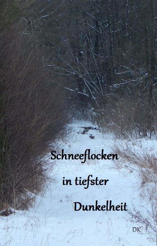 Schneeflocken in tiefster Dunkelheit by xmoonfeather