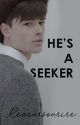 Albus Potter X Reader X Scorpius ; He's A Seeker by reveursourire